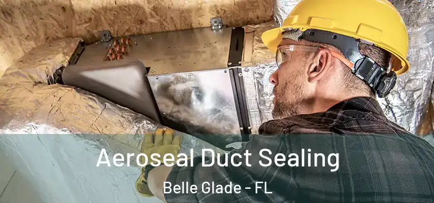  Aeroseal Duct Sealing Belle Glade - FL
